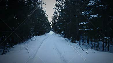 Handheld Footage of a Scared Person Running or Escaping in Forest During a Cold Winter Night