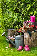 Spring garden tools utensils gardening