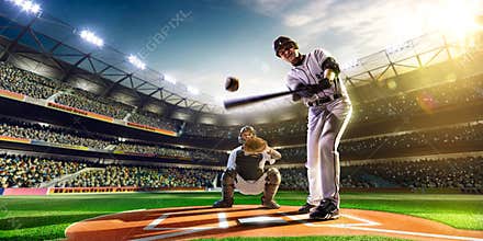 Professional baseball players on grand arena