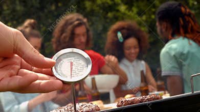 In high quality format man using meat thermometer while barbecuing