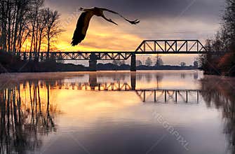 Snohomish