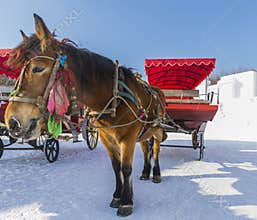 Carriage Winter Moon Lake Playground in Changchun in northeast China