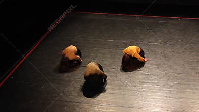 Theatre - women on the stage