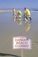 A sign warning �Danger� after an oil spill closed Huntington Beach, as cleanup workers remove oil from the California