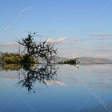 Reflection in swimming pool lake Manyara