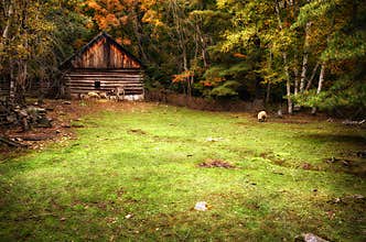 Farm Animals Eating By a Log House