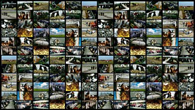 Cattle breeding-split screen