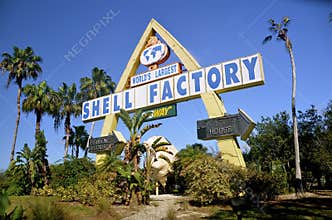 Florida Sea Shell Factory