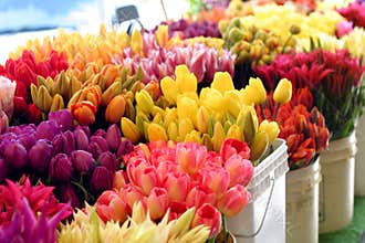 Flowrs in the Market