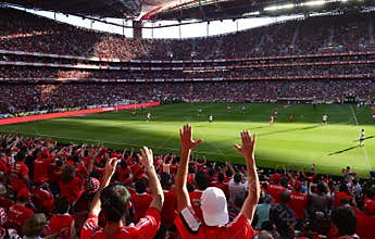 Soccer Fans, Red Crowd, Benfica Stadium, Football Players