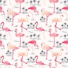 Flamingo Bird Background