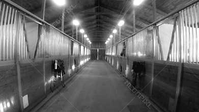 Horse Barn Animal Sport Paddock Equestrian Ranch Racing Stable