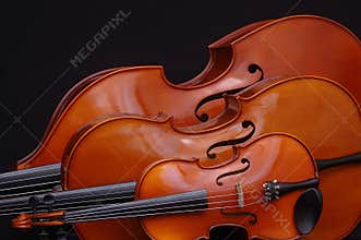 String family