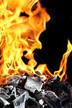 Burning fire and charcoal