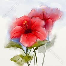 Watercolor painting red hibiscus flower