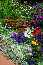 Flower Garden