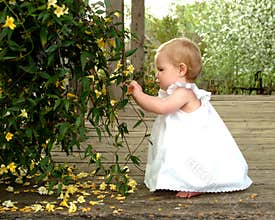 Picking Flowers