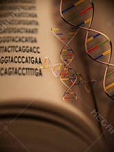 Genetic Code 2