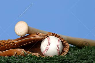 Baseball and Bat on grass