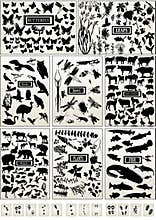 Animal, bird, fish, insect, butterfly and plant