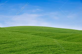 Green hills and blue sky