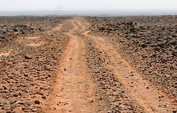 Wild Rough Desert road