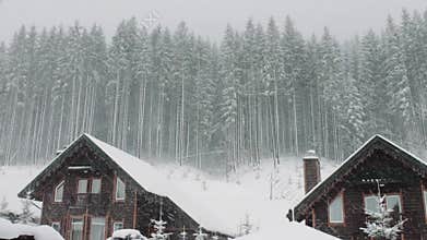Strong snow comes on the background of Christmas