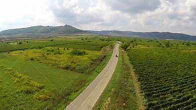 Country road through the vineyards somewhere in Dobrogea, Romania