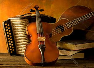 Acoustic musical instruments guitar ukulele violin