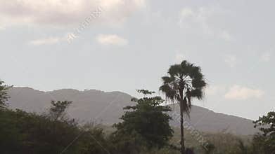 Jamaican mountain countryside tropical landscape
