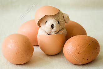 Where do I come from (3)