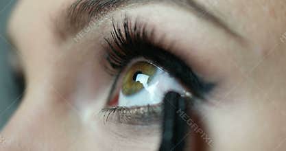 Make-up artist applying eyelash makeup