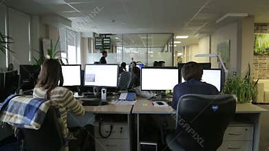 Programmers working in office