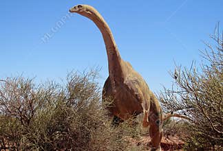 Dinosaur model