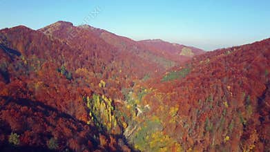 Aerial view of autumn colors Carpathians.