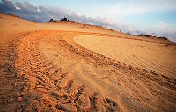 Motocross and auto sport track