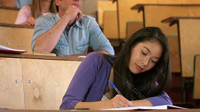 Concentrated student during lesson smiling at camera