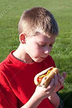 Young Boy enjoying a Hot Dog