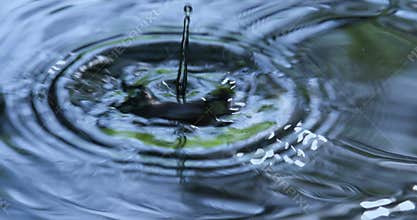 Raindrops Falling into Water