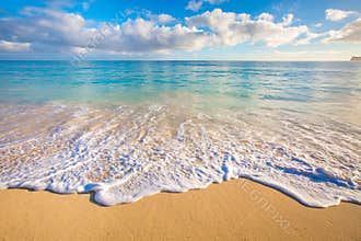 Beautiful Ocean of Hawaii