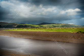 View at Wigtown Harbour