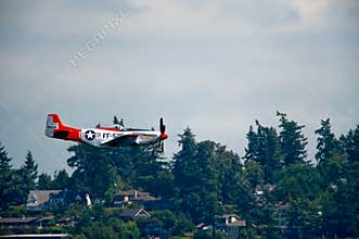 P-51D Mustang fighter aircraft