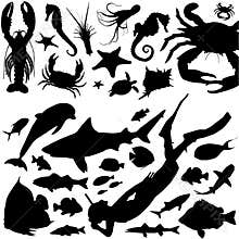 Marine life vector