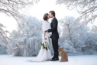 Winter wedding