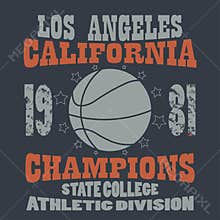 Basketball Champions t-shirt