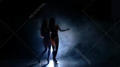 Portrait of two young striptease dancer with