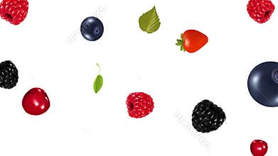 Berries fruit falling in looping