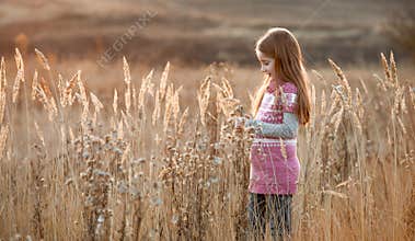 Pretty little girl in an autumn field