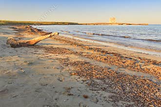 Nature Reserve of Torre Guaceto.BRINDISI (Apulia)-ITALY-