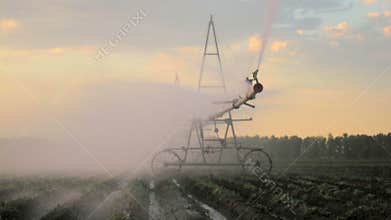 Sprinkler waters a field. Time lapse